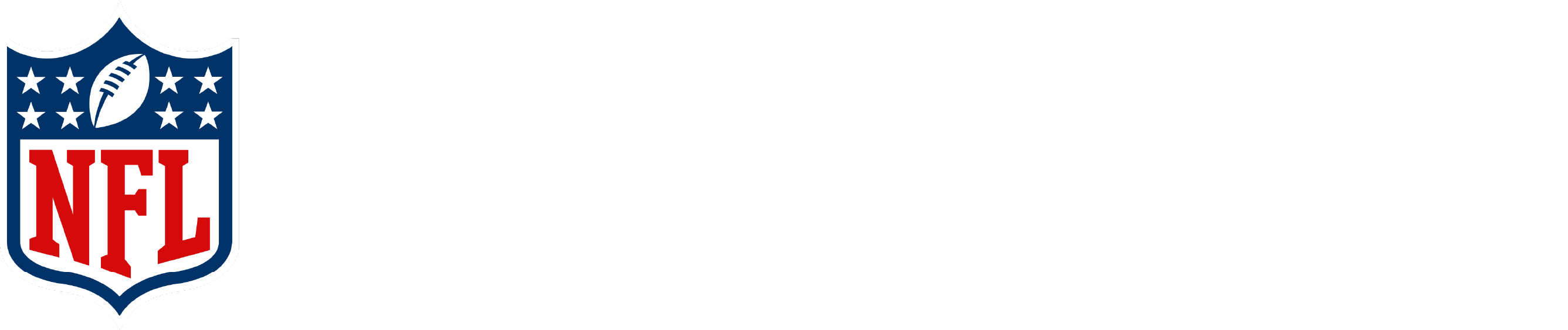 NFL Playgrounds logo